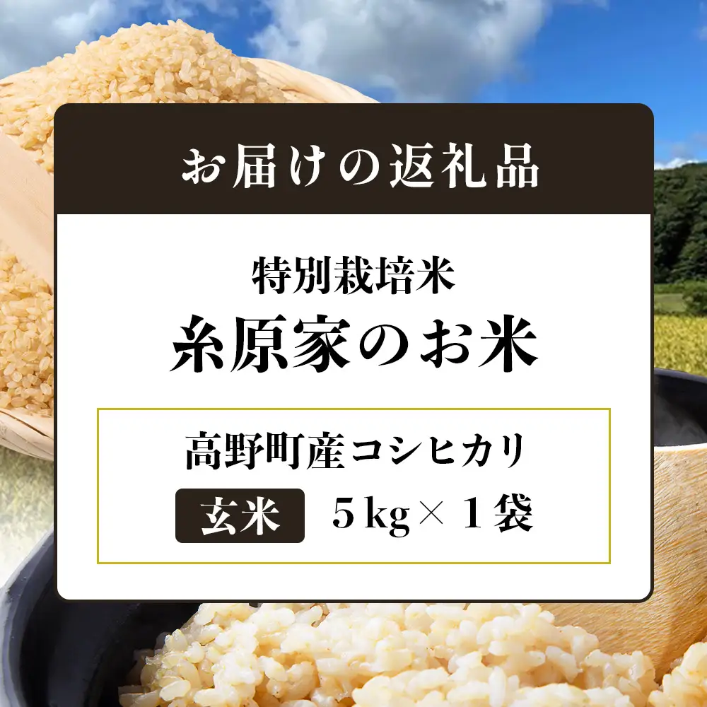 （玄米）特別栽培米「糸原家のお米」高野町産コシヒカリ5キロ | 5kg