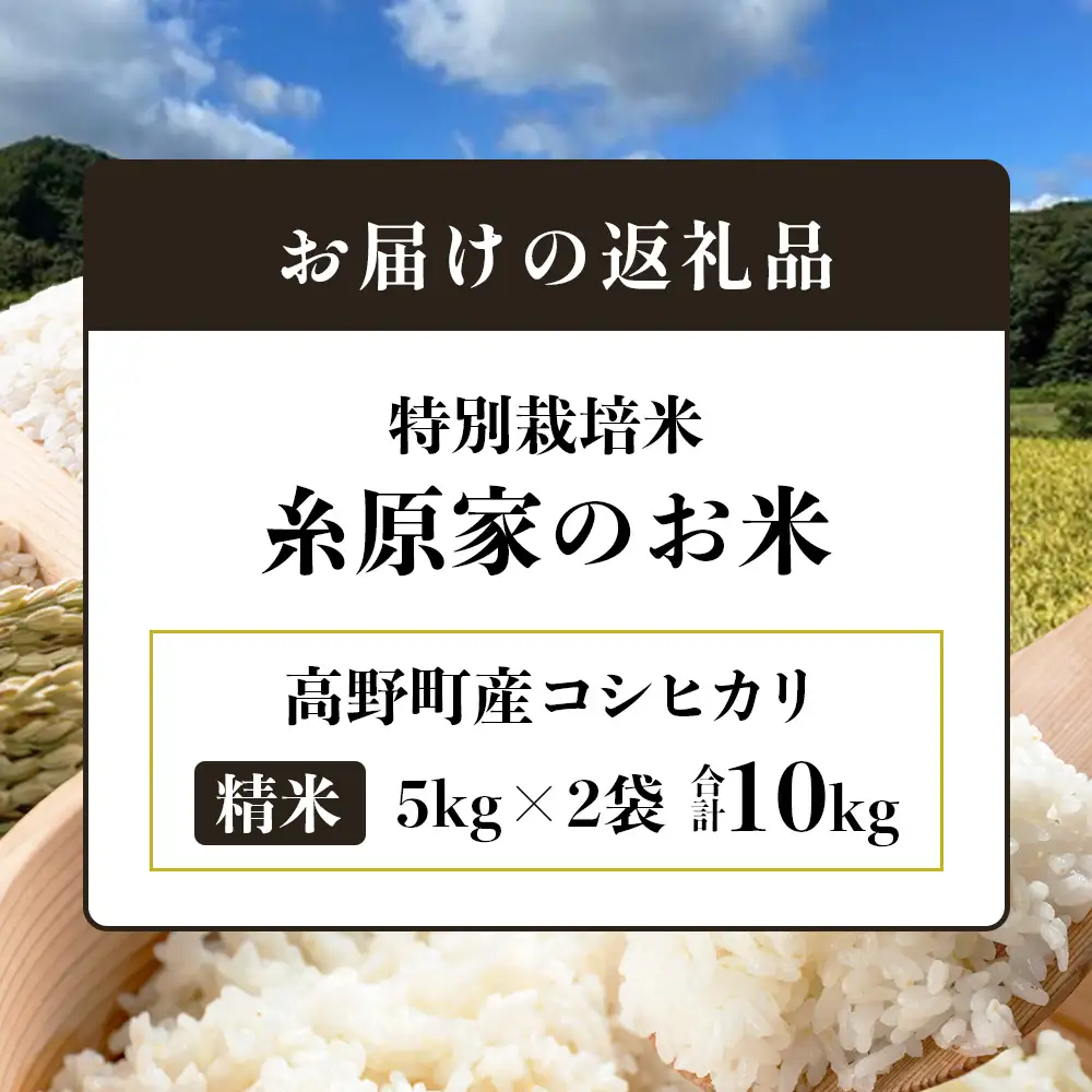 特別栽培米「糸原家のお米」高野町産コシヒカリ 10キロ （5キロ×2袋） 精米 | 合計10kg (5kg×2) 白米 お米