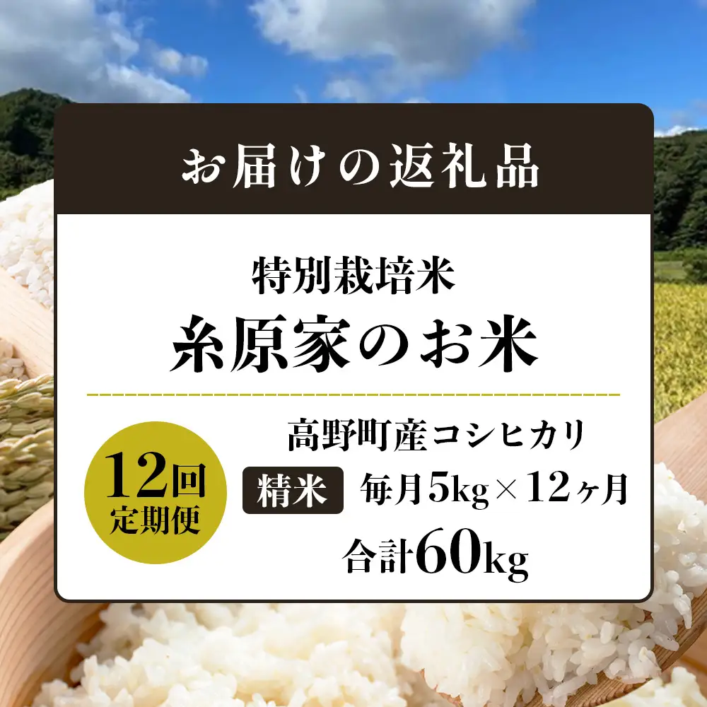 【定期便 全12回】特別栽培米「糸原家のお米」高野町産 コシヒカリ 5キロ| 5kg×12回 合計60kg 12ヶ月 12ヵ月 12か月 精米 白米 お米