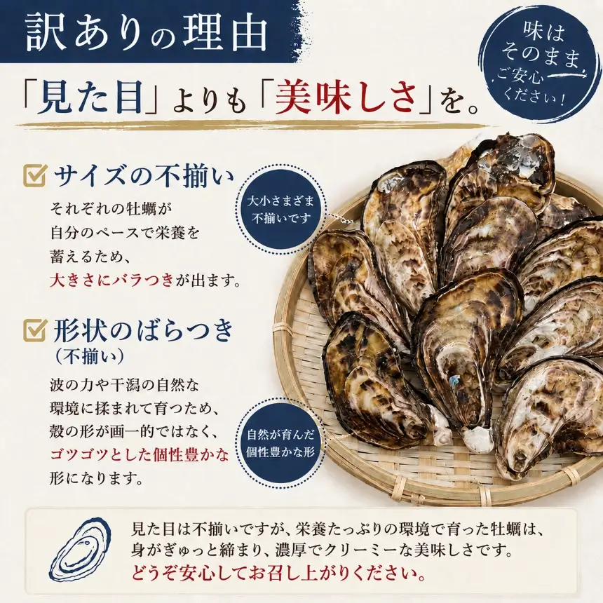 【訳あり】殻付き真牡蠣 2.5kg | かき 真牡蠣 生食用 殻付き 海鮮 魚介 海のミルク おつまみ おかず 訳あり 家庭用 大分県 中津市