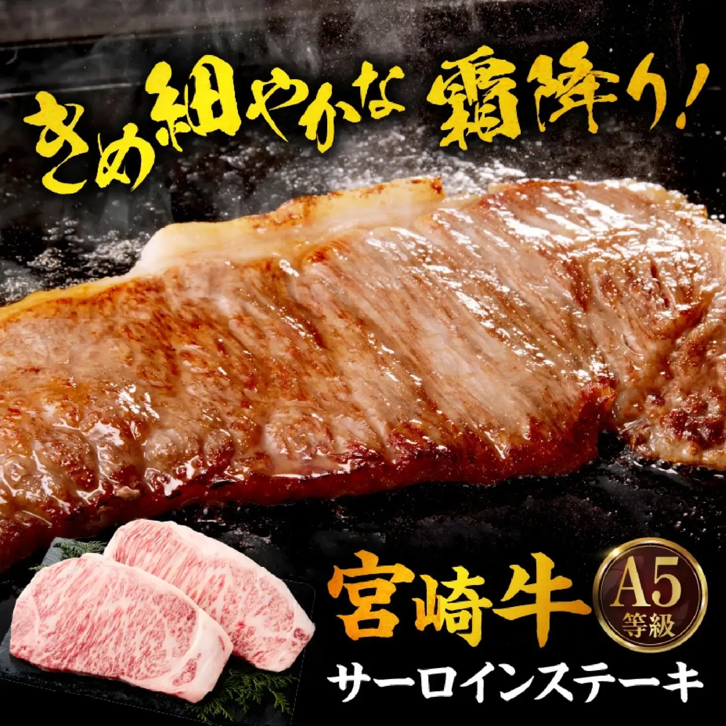 牛肉 宮崎牛 サーロインステーキ・切り落としセット計1kg 牛肉