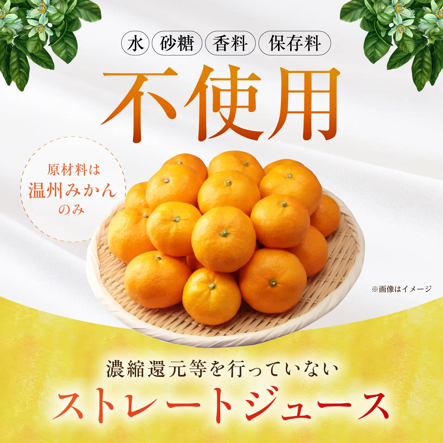 さがみかん100%搾り 2箱（330ml×12本入/箱） 【JAさが 杵島支所】[HAM099]