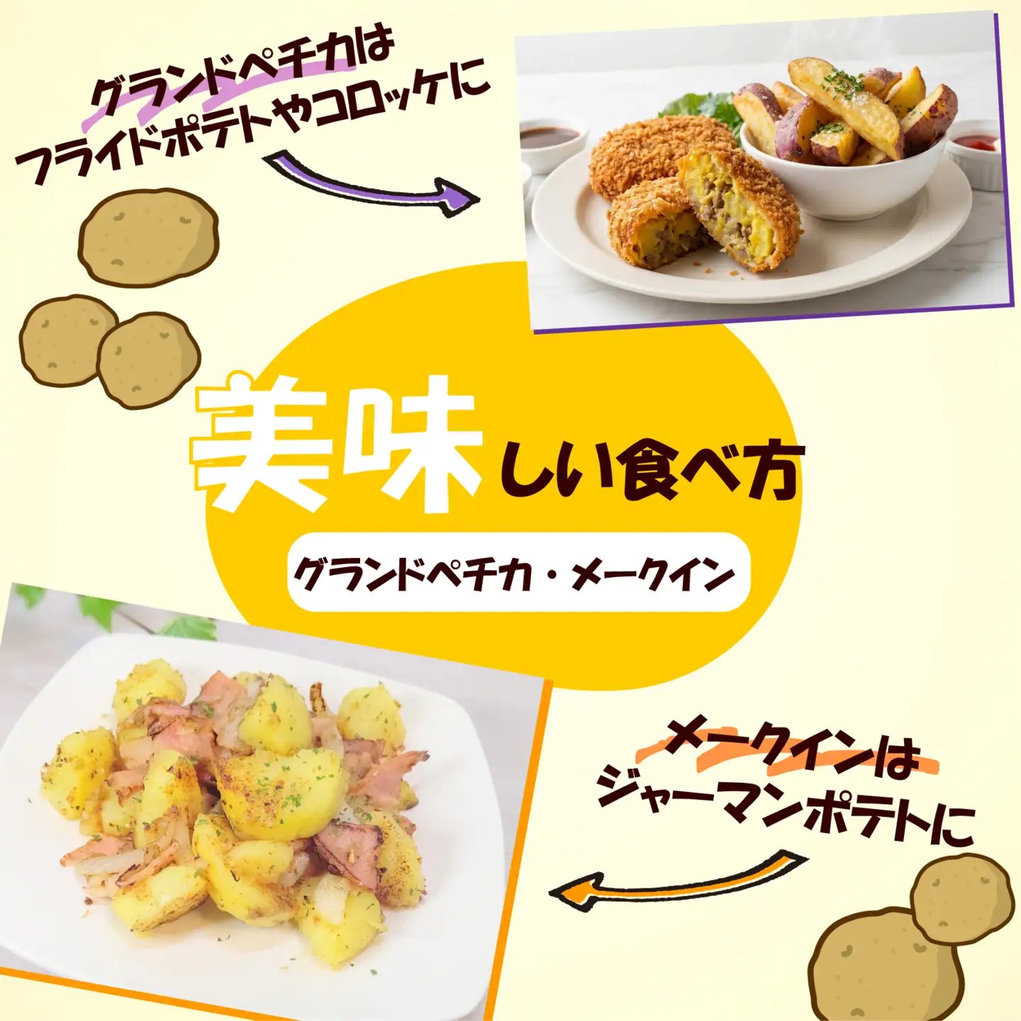 【先行予約2026年7月上旬より順次発送】 馬鈴薯 4種 約5kg じゃがいも 馬鈴薯 メークイン キタアカリ キタカムイ グランドペチカ みしまコロッケ