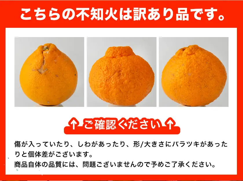 訳あり 人気柑橘食べくらべ定期便 全3回 計15kg
