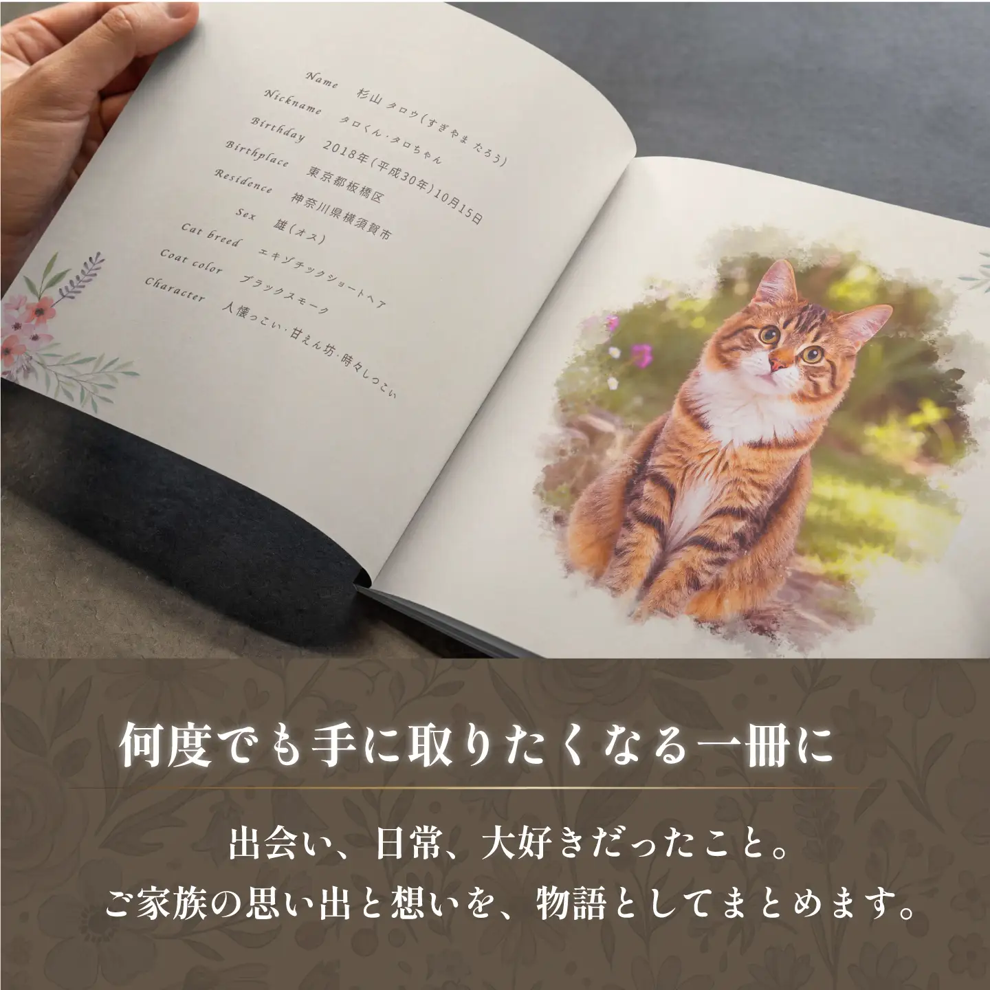 全国対応｜ペットの本（電話＆スマホ完結/1冊 ペットの絵本コース）【すぎやま本制作】[AKIB005]