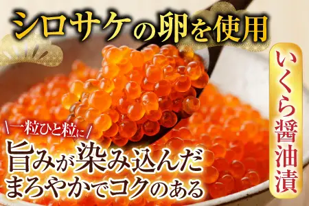 ＜鮭匠ふじい＞いくら醤油漬250g・辛子明太子250g C-42069