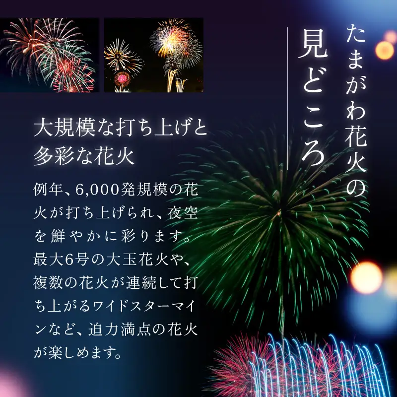 ＜令和8年10月3日開催＞第48回 世田谷区たまがわ花火大会 ふるさと応援者席 招待券【1名様分・イス席】花火 思い出 体験 鑑賞 東京 世田谷_0084-003-se8