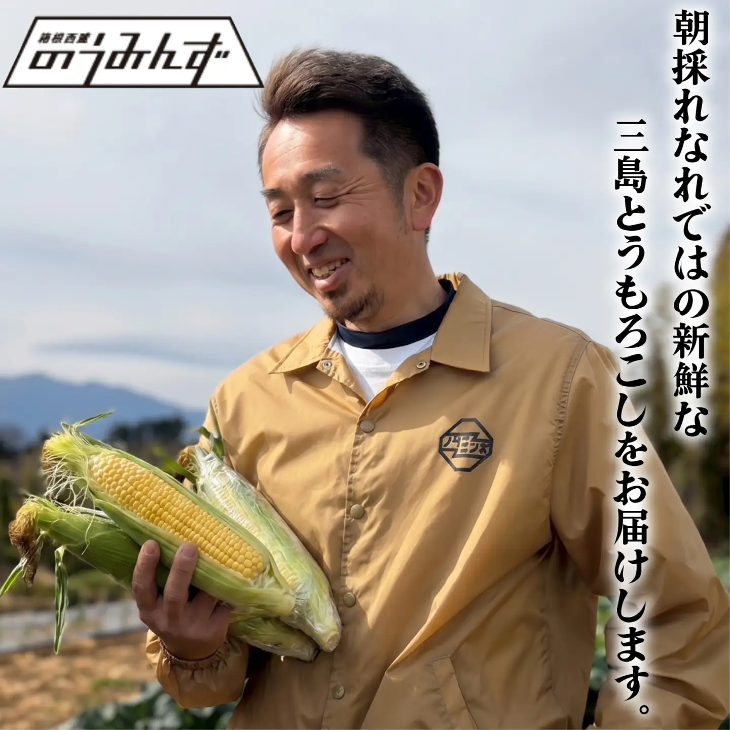 三島 とうもろこし ゴールドラッシュ 8本～10本 とうもろこし