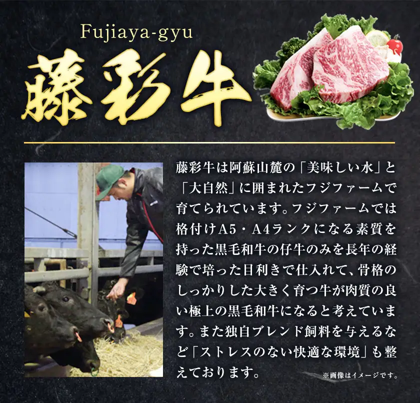 肉 藤彩牛 カルビ モモ 2種セット 焼肉用 各 200g 計400g 200g 亀井通産株式会社《30日以内に出荷予定(土日祝除く)》 熊本県 菊池市 肉 牛肉 バラ カルビ モモ スライス 焼肉 黒毛和牛 ふるさと納税 A4～A5等級 黒毛和牛 切り落とし