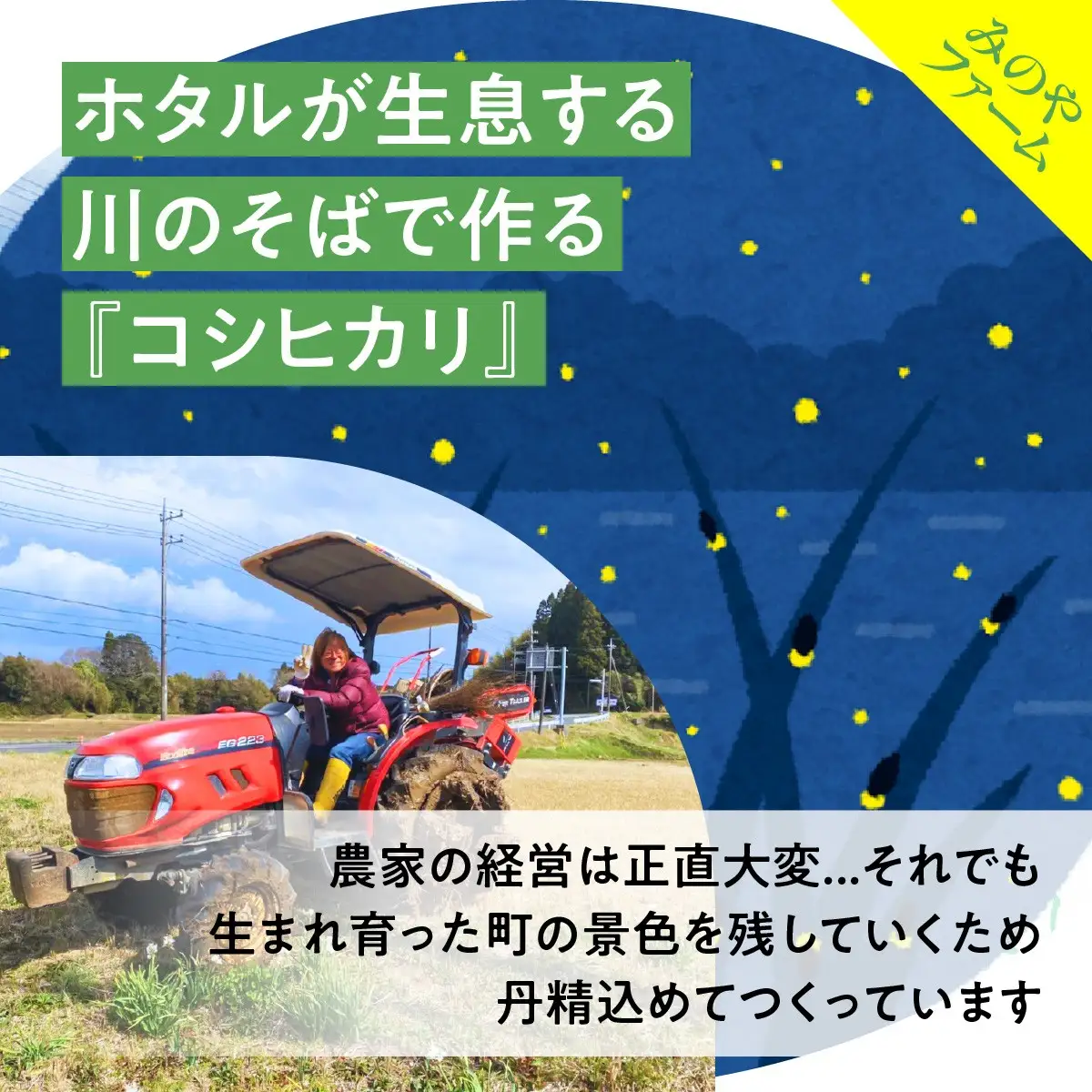 Ｉ７０１　２０２６年度田んぼ区画オーナー制度（２区画）【個人向け】ご友人同士参加ＯＫ！（お申込者+２名様まで）ご家族参加も大歓迎！  ONJX002
