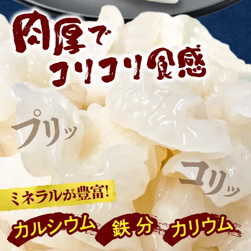 白いきくらげ「きくらげ姫」(乾燥タイプ)45g きくらげ 白いきくらげ 木耳