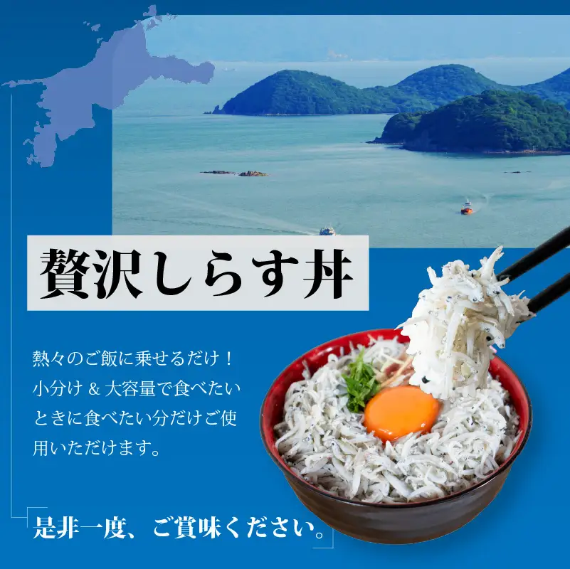 しらす 1.5kg 家庭用 釜揚げ |  冷凍 しらす しらす干し ごはんのお供 おつまみ 酒の肴 小分け 便利 簡単調理 おかず 惣菜 しらす丼 グルメ 食品 魚 魚介 海鮮 シラス 家庭用 ギフト  愛媛県 松前町 【AIS003】