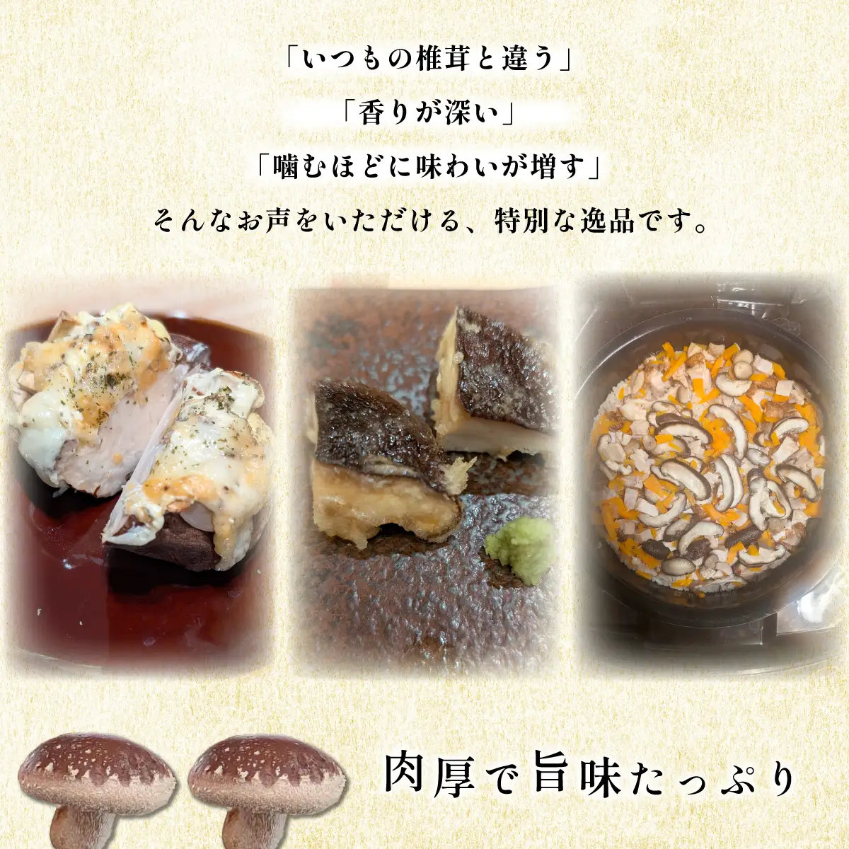 【先行予約 11月初旬から順次発送】千葉県大網白里市産「雷神しいたけ」1kg BC001