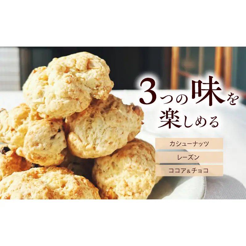スコーン詰合せ カシューナッツレーズンココア＆チョコ スコーン詰合せ【12個入】