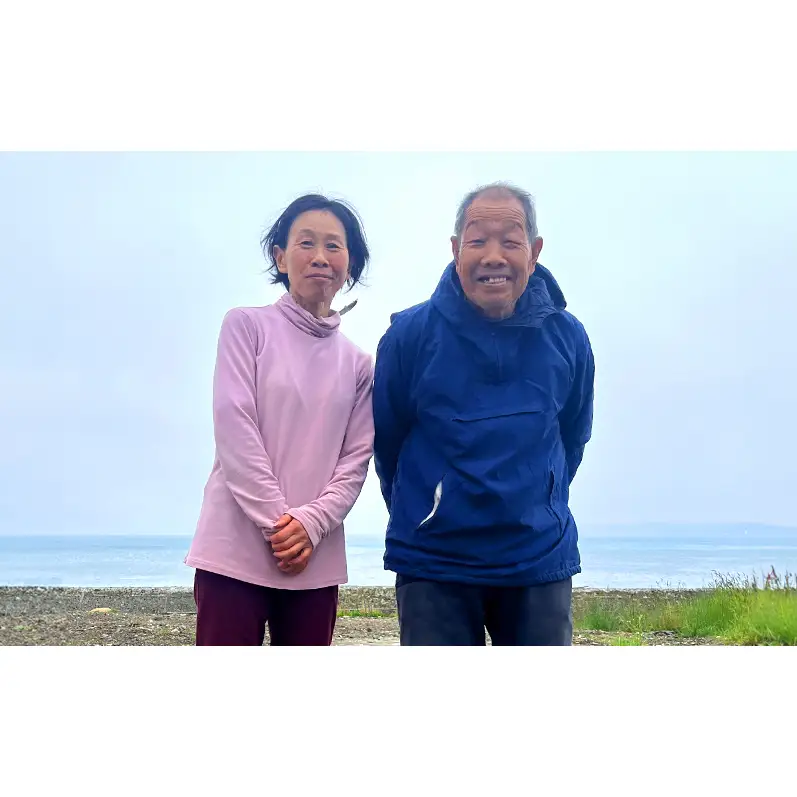 北海道 礼文島産 寒岩のり 3枚入×3パック［れぶんちゅら工房］【 海苔 岩海苔 海藻手作り 磯の香り ご飯のお供 ラーメン 味噌汁 】