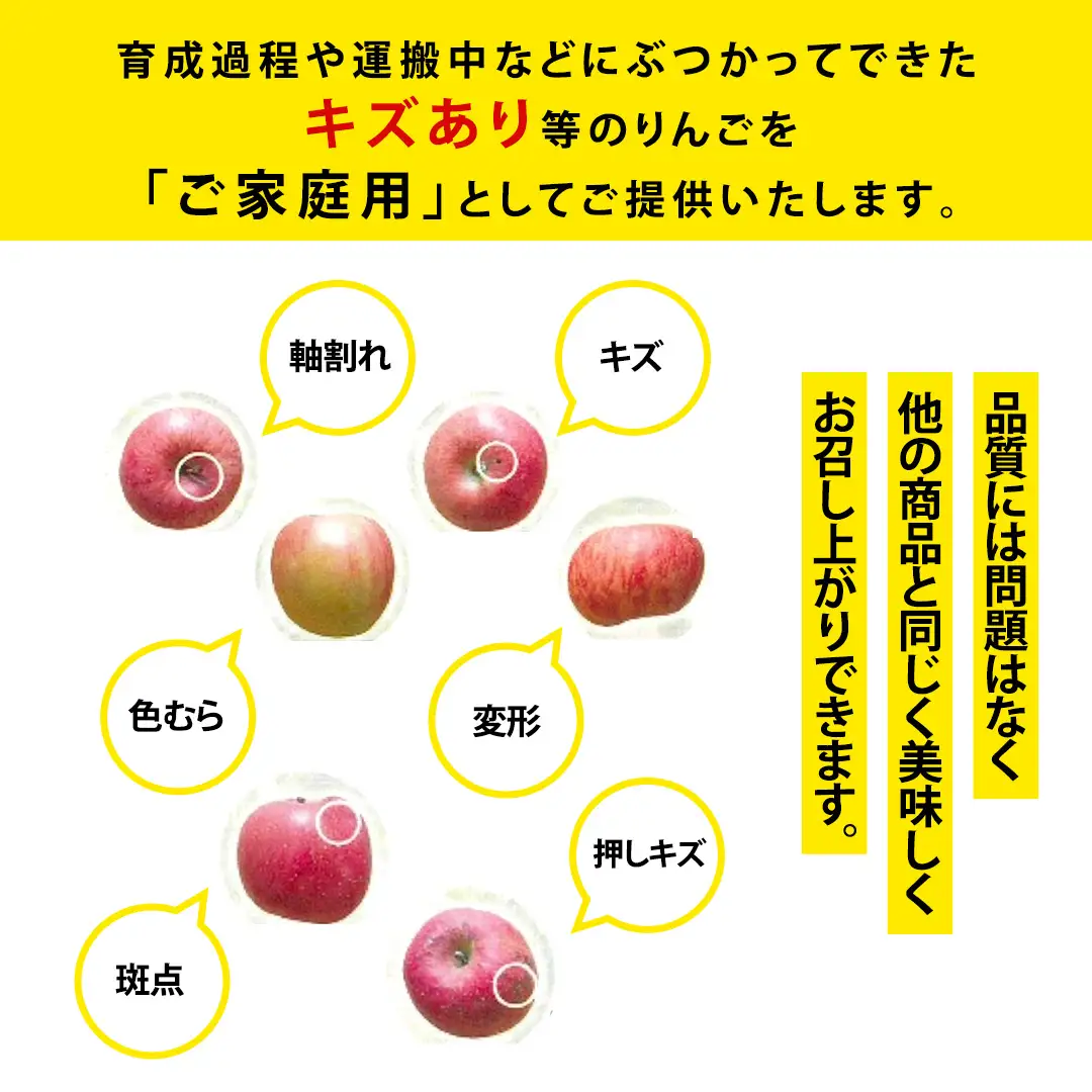 【ご家庭用】りんご はるか 約3kg (FH003) りんご