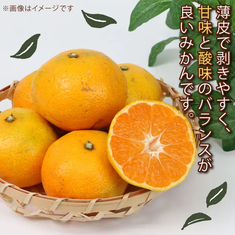 みかん 訳あり 温州みかん 10kg 平石農園 先行予約 温州 みかん 甘い 甘味 酸味 果物 くだもの フルーツ 柑橘 mikan 蜜柑 愛媛蜜柑 愛媛みかん わけあり サイズ 不揃い 産地直送 数量限定 国産 愛媛 宇和島 B010-017009
