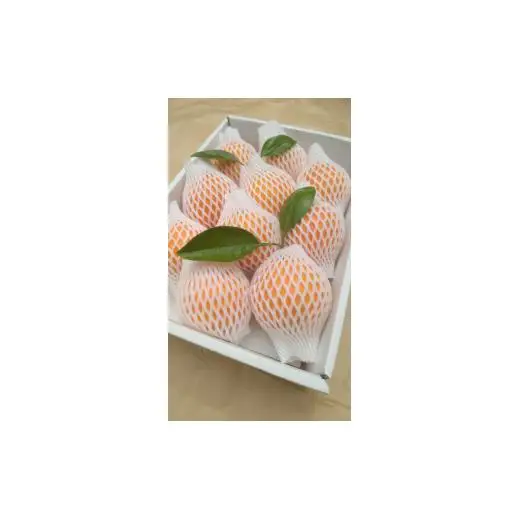 N035　樹上熟成ネーブル　２．５ｋｇ