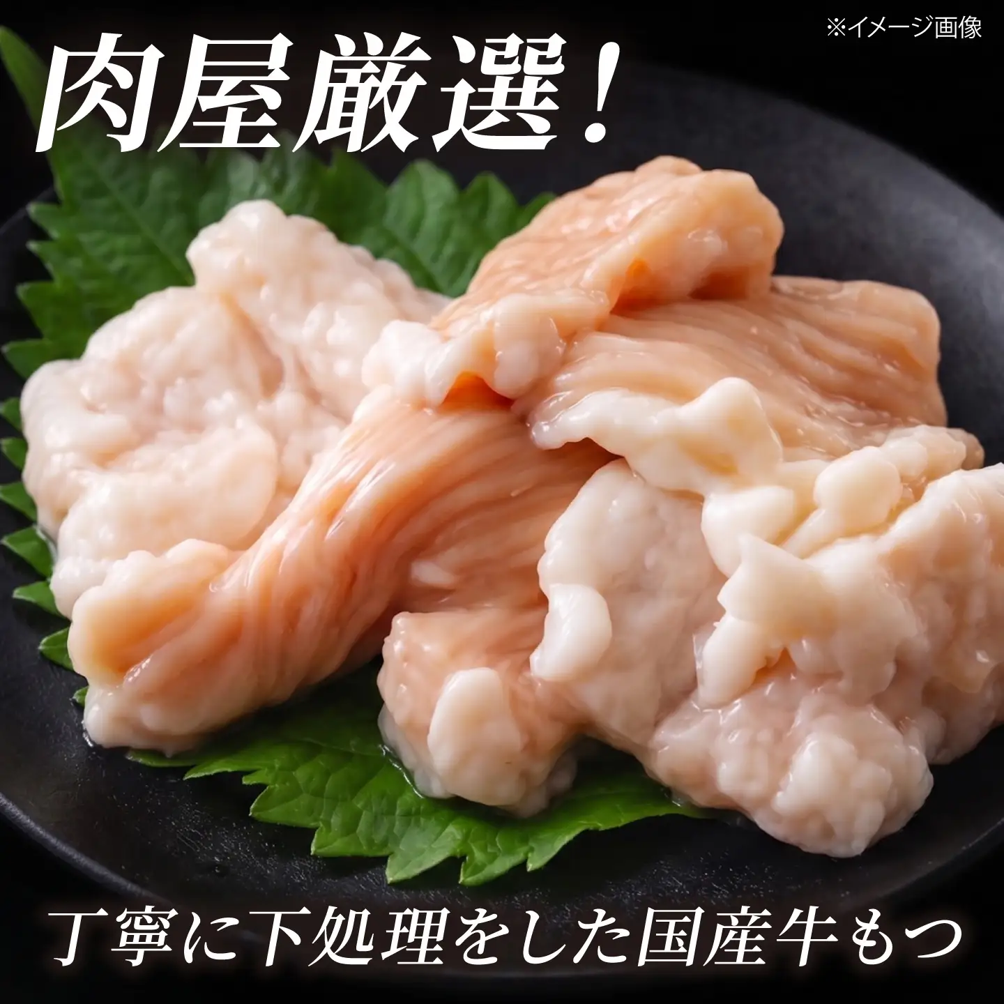 【国産牛使用】肉屋が作ったこだわりのもつ鍋 醤油味 3-4人前 酢もつ付 [BGAD085]