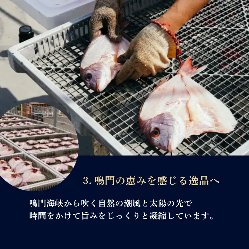 干物 9枚 鳴門鯛 干物セット