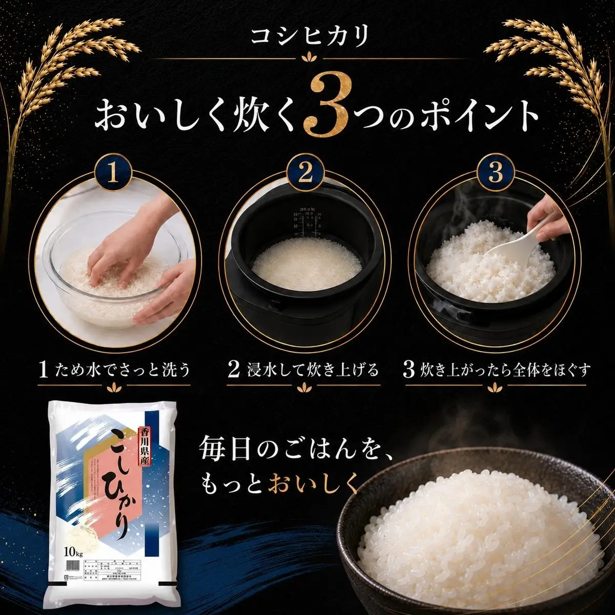コシヒカリ 米 精米 白米 香川県産 コシヒカリ【10kg】