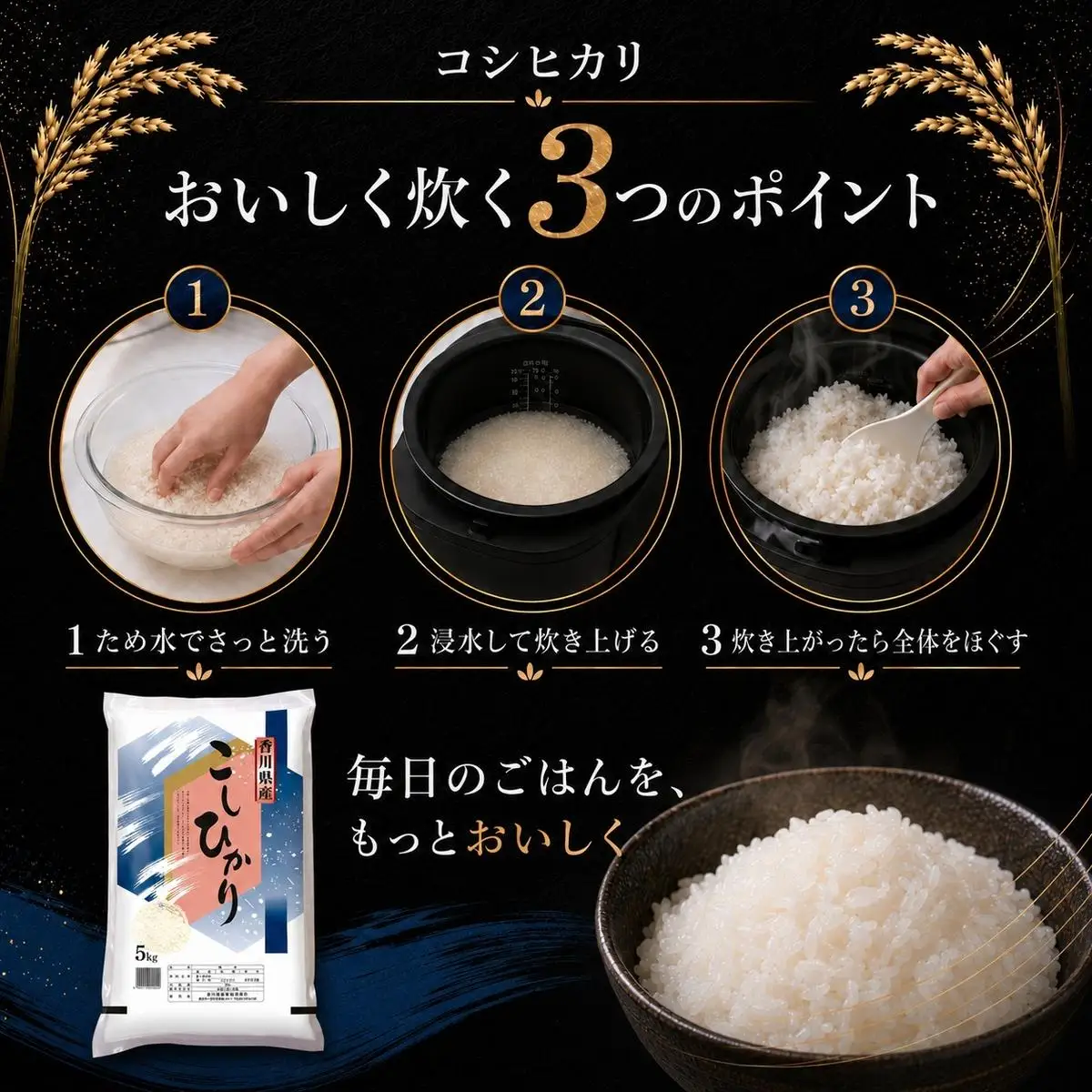 コシヒカリ 米 精米 白米 香川県産 コシヒカリ【5kg】