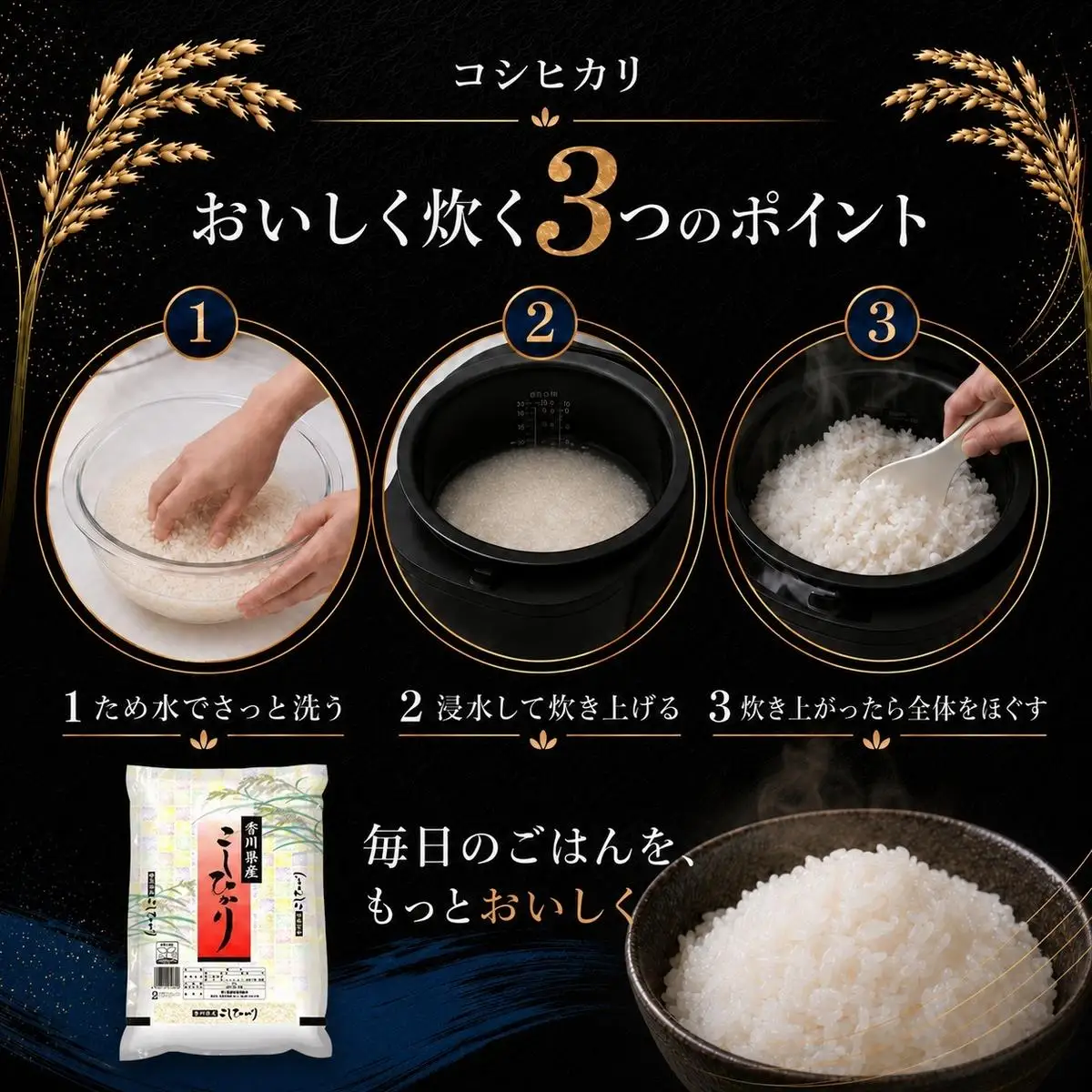 コシヒカリ 米 精米 白米 香川県産 コシヒカリ【2kg】
