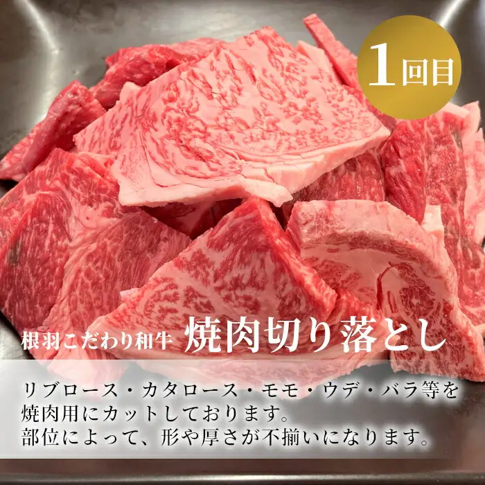焼き肉づくし★国産黒毛和牛 焼肉定期便 切り落とし リブロース カタロース モモ バラ 焼肉 定期便 BBQ バーベキュー 長野県 根羽村 根羽こだわり和牛 肉 牛肉 和牛 黒毛和牛 霜降り 赤身 30000円 30,000円 3万円