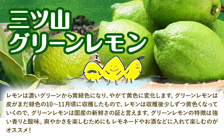 グリーン レモン 訳あり 3kg 三ツ山レモンファーム 檸檬