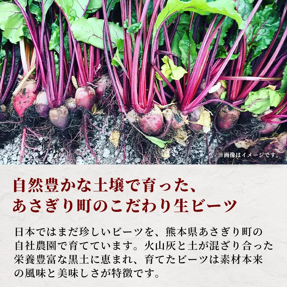 自社農園栽培 生 ビーツ 1kg 熊本県 産 スーパーフード 115-0611