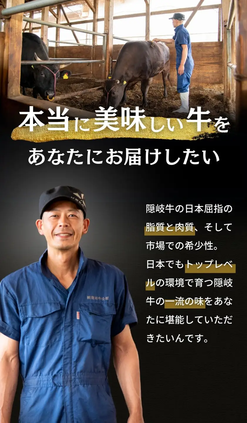 隠岐牛 和牛 切り落とし 400g A5 和牛 牛肉