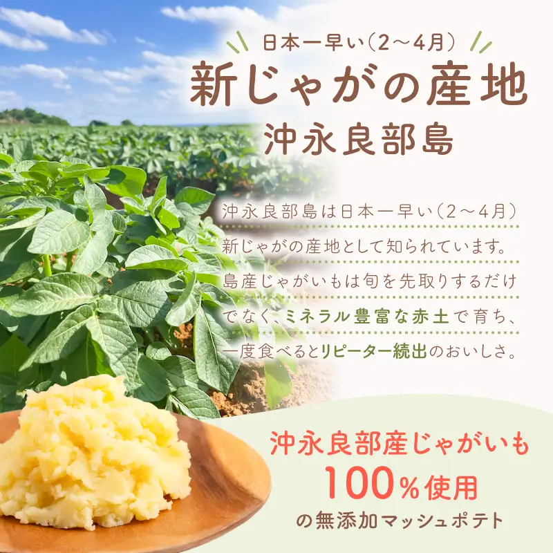 沖永良部産 じゃがいも 100％！ていねいに仕上げた 無添加 マッシュポテト 90g×10個 W071-001-01 離乳食 介護食