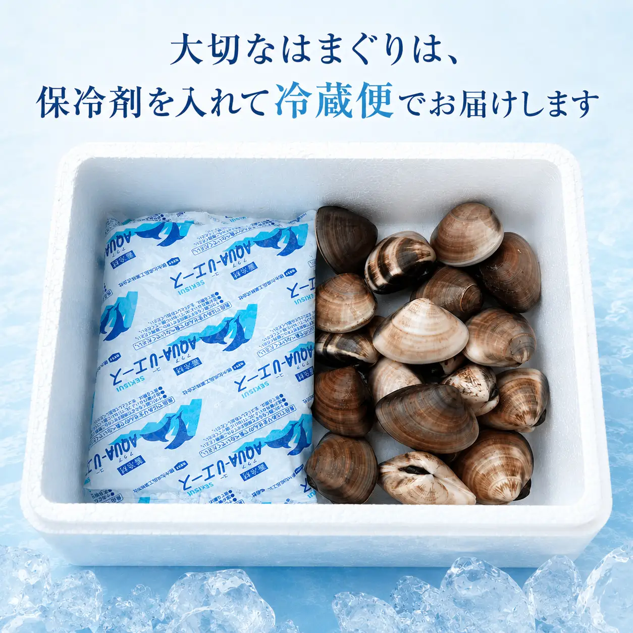 九十九里産　天然　活はまぐり（中玉～大玉） 約2kg（20～32個前後） / はまぐり ハマグリ 蛤 天然 活はまぐり 活ハマグリ 活蛤 中玉 大玉 貝 貝類 魚介 魚貝 海鮮 2kg 九十九里産 産地直送 産直 千葉県 匝瑳市