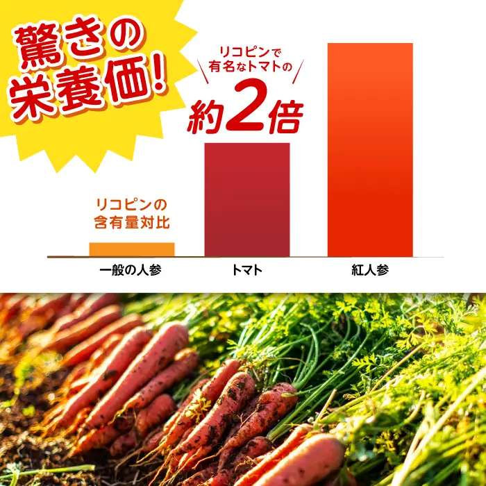 ※【2027年1月上旬より順次発送／先行予約】【甘みと栄養たっぷり！】真っ赤な人参「紅天神」 5kg / にんじん ニンジン 人参 carrot やさい 野菜 にんじんジュース 人参ジュース ニンジンジュース キャロット キャロットジュース / 諫早市 / 滝商店株式会社[AHCU008]