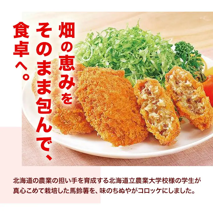 味のちぬや なまらうまいコロッケ 10個 特定非営利活動法人 銀河ほんべつ《60日以内に出荷予定(土日祝除く)》