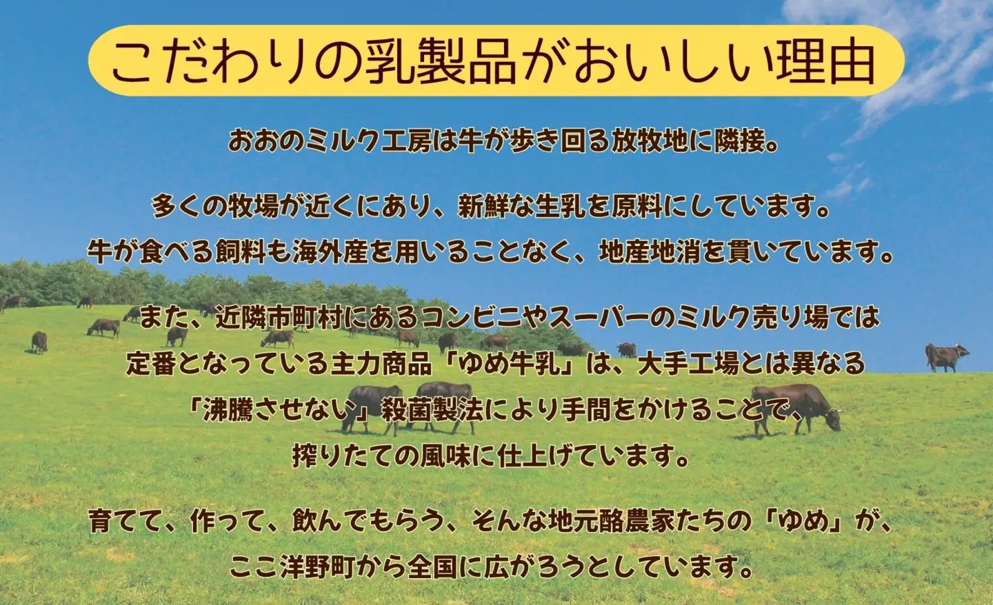 おおのミルク村 のむヨーグルト750ml×3本 全国ヨーグルトサミットグランプリ受賞 超濃厚 ファミリーボトル
