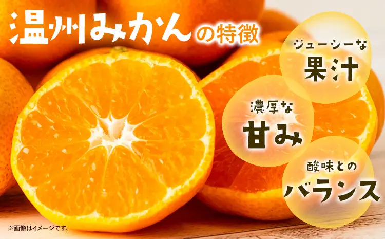 ご家庭用 温州みかん 約10kg
