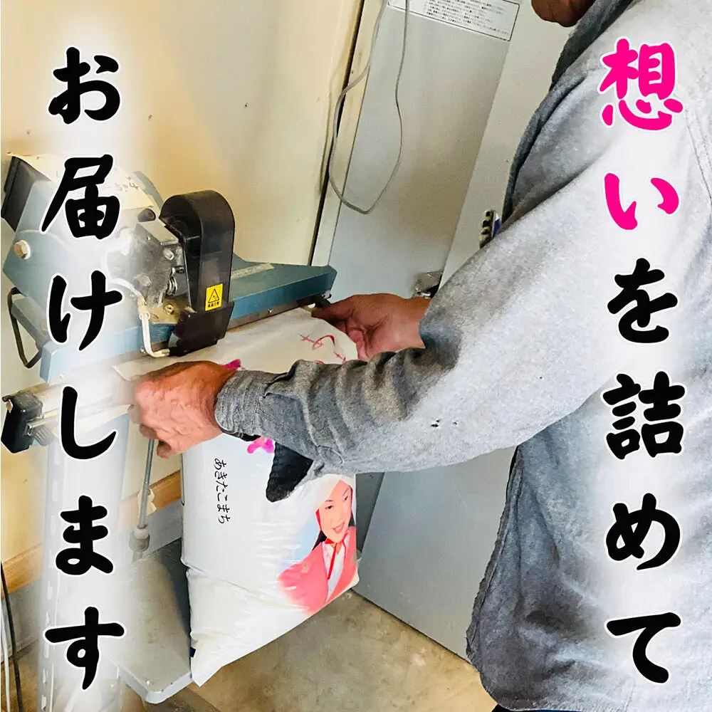 白米 青森県産あきたこまち 精米 5kg 令和7年産