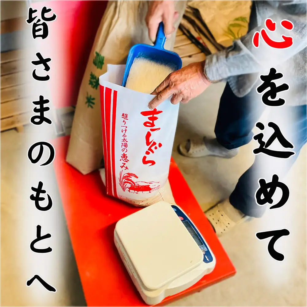 白米 青森県産まっしぐら 精米 10kg 令和7年産