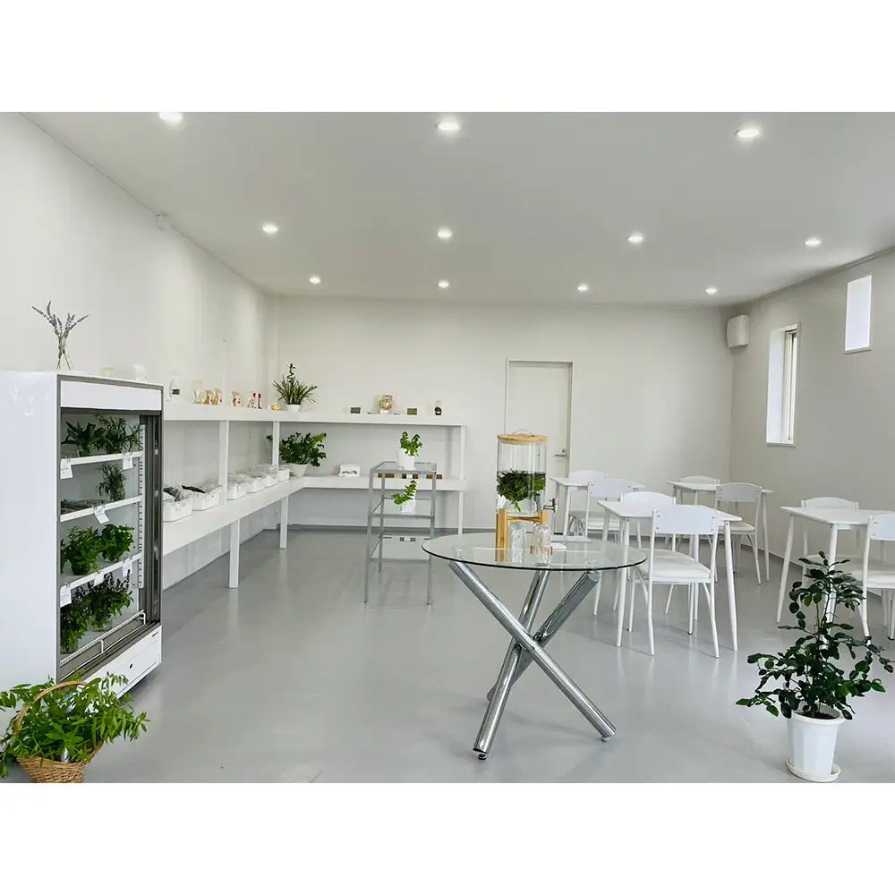 ホーリーバジル花穂とり体験（4名様まで）青森県十和田市