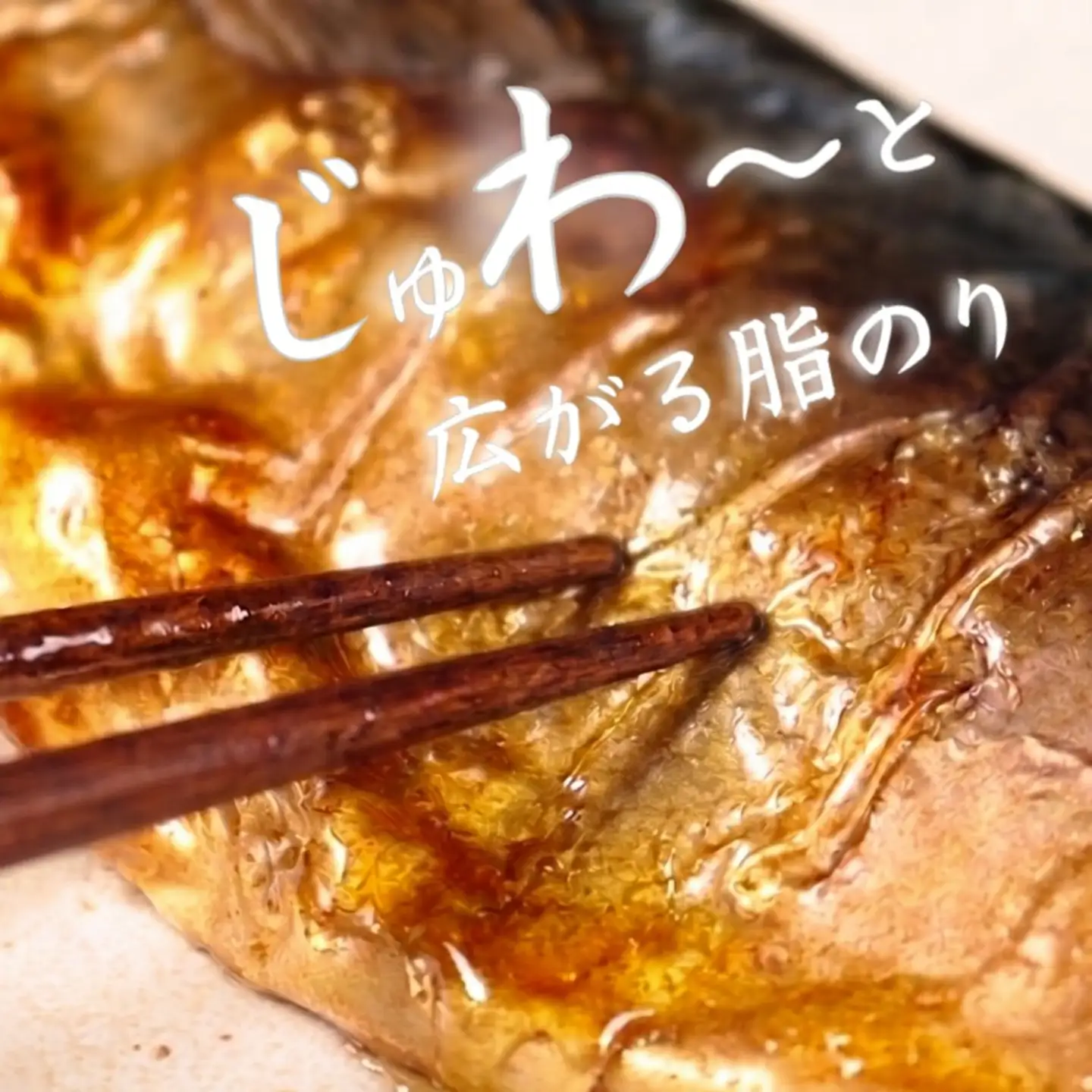 金華さば フィーレ 1.7kg