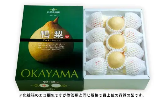 鴨梨 （ ヤーリー ） 小玉 11 ～ 13玉 合計約4kg 化粧箱 梨 なし ナシ くだもの 果物 フルーツ 果実 国産 岡山県産 希少 希少梨 贈り物 贈答品 プレゼント 【2026年11月下旬～12月下旬発送予定】