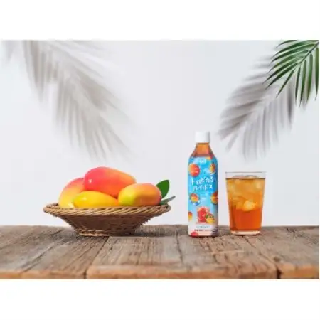 サーフ　トロピカるルイボス500ml×24本　マンゴー果汁使用、糖質・カロリー・カフェインゼロ【1720340】