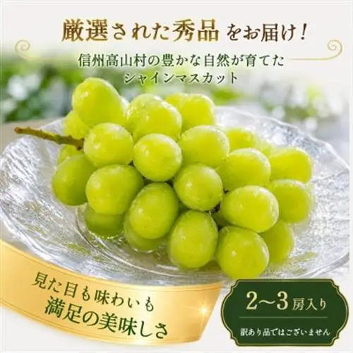 【先行受付】信州高山村産　シャインマスカット1kg(2～3房入り)秀品(訳あり品ではございません)【配送不可地域：離島・北海道・沖縄県】【1740774】