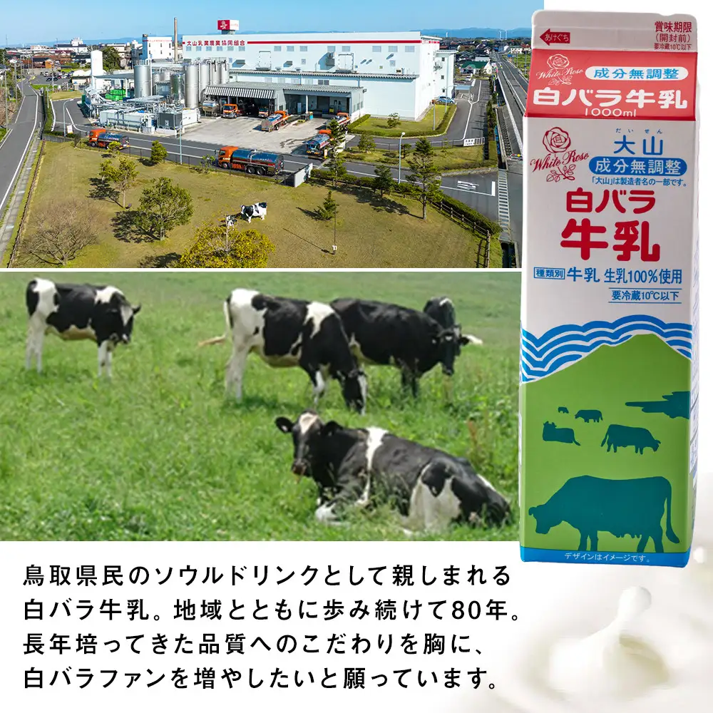 白バラ乳製品ギフト