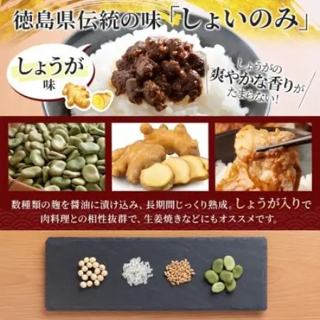 しょいのみ 2種セット うま実 しょうが味 各2箱 計4箱 発酵食品 徳島県 東みよし町【1740194】