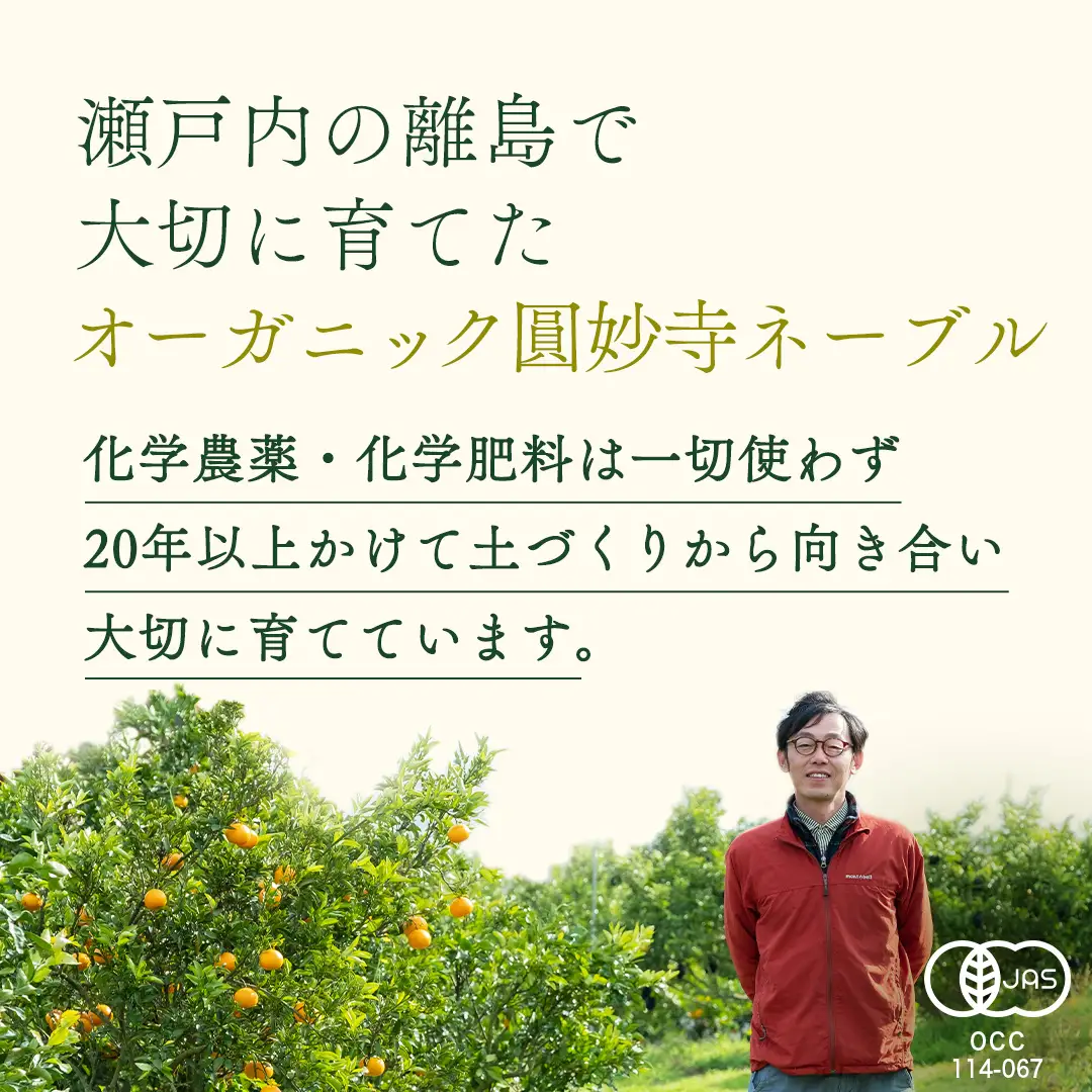 【 先行予約 】 瀬戸内 オーガニック 圓妙寺 ネーブル 5kg ( 15～25個程度 )+お試しオーガニックレモン1個 【2027年1月中旬以降発送】 