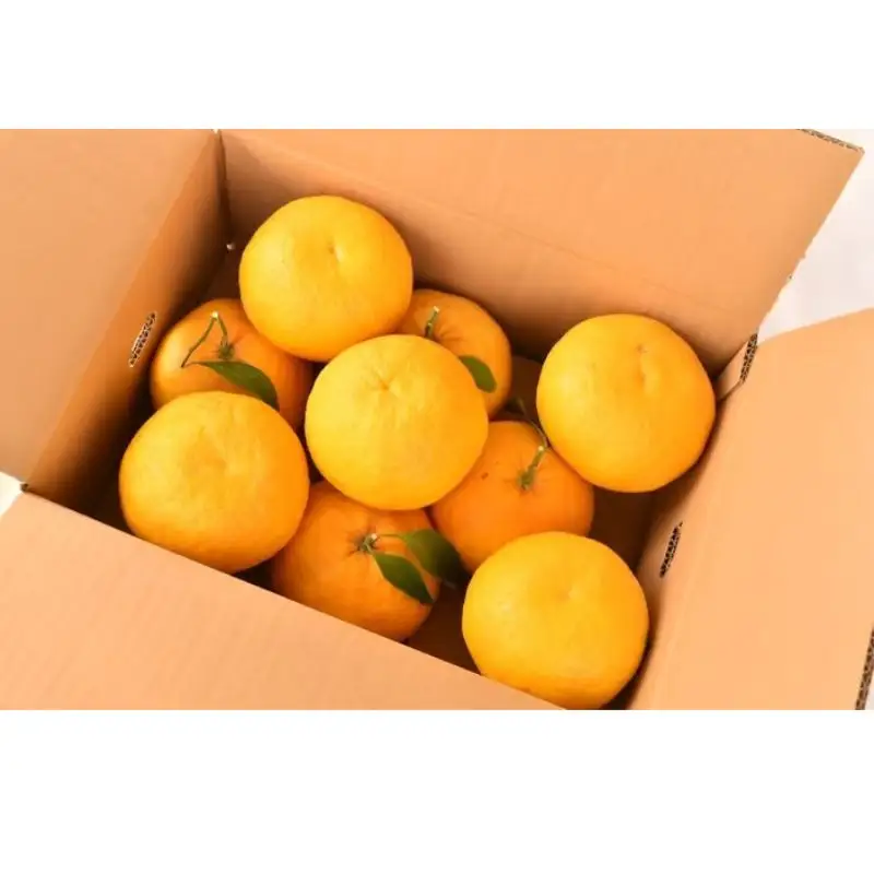 甘夏 【秀品】4kg 人気【期間限定・数量限定・先行予約】柑橘 産地直送 贈答品 ギフト 果物 フルーツ 田辺市 和歌山県 甘夏 【ymh027】