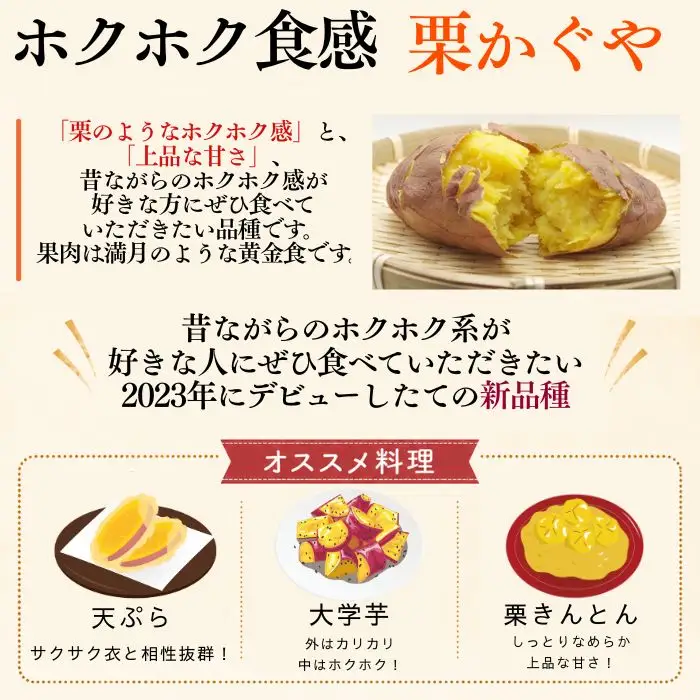 【 先行予約 10月 発送】 滝沢産 さつまいも セット 5kg 紅はるか あまはづき 栗かぐや