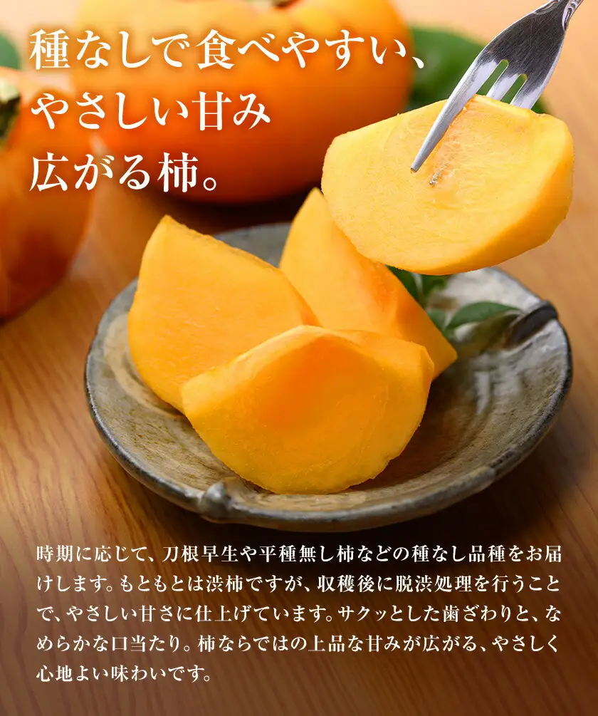 たねなし柿 秀品 4kg 農業福祉研究機構《9月上旬-11月上旬頃出荷》